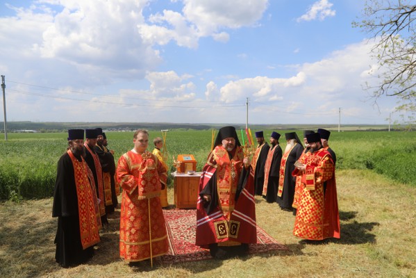 Епископ Шахтинский и Миллеровский  Симон вместе с фермерами помолился о благополучии урожая на донских полях