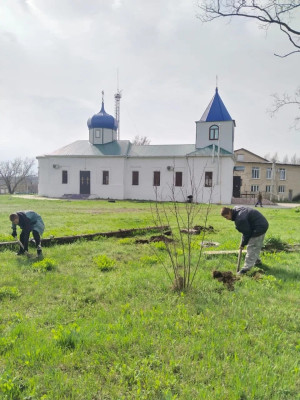 Село Алексеевка: приходская жизнь и единство общины