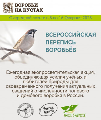 Воспитанники воскресных школ Нижнедонского благочиния принимают участие в экологической акции «Всеросийская перепись воробьёв»