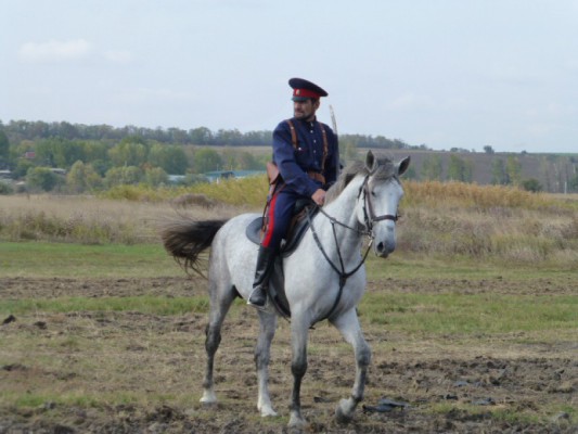 В п. Новосветловский состоялся Всероссийский казачий чемпионат по рубке шашкой «Степная казарла»