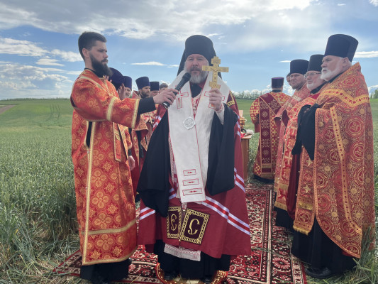 Епископ Шахтинский и Миллеровский Симон совершил молитву о благополучии урожая на донских полях